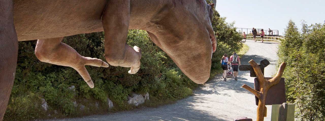 On the Triassic Trail, © Tirol Werbung/Frank Bauer