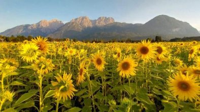 Haus Sonnengarten-Lienz, © bookingcom