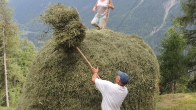 Bergwiesen Heu machen