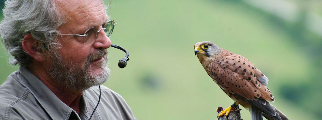 Birds of Prey Park in Telfes im Stubai, © Greifvogelpark Telfes