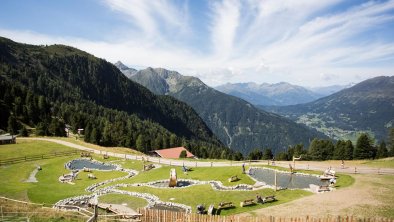 Swiss Pine Park on the Hochzeiger