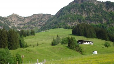 Hauseigene Alm