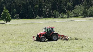 Maurerhof St. Johann in Tirol Heuarbeit