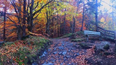 Glocke Herbst, © Fankhauser