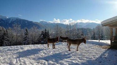 Rossweid hut with a fantastic view, © bookingcom