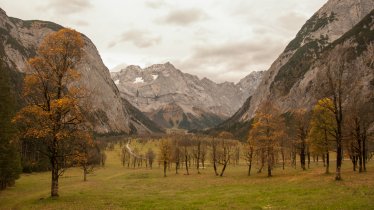 The Ahornboden in Eng, © Jannis Braun