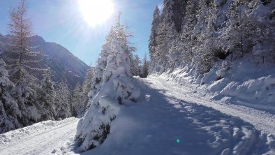 Rodelbahn Milderaun