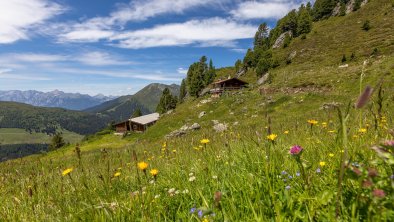 Sommer im Zillertal