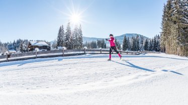 langlaeuferin-in-der-region-kitzbueheler-alpen-bri