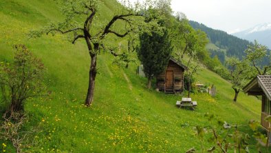 https://images.seekda.net/AT_UAB7-04-06-10/Siedlerhof_Ausblick_App-_Kreuzjoch.jpg