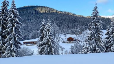 Blick auf den Tuxerhof