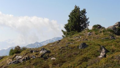 am Spieljoch