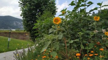 Upcycling Appartement Fischl - Für die Familie, © bookingcom