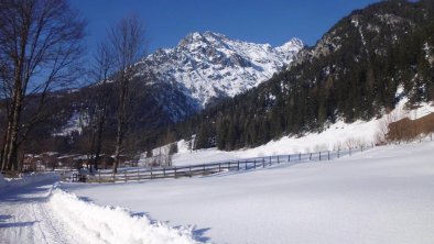 Spazierweg Richtung Haus