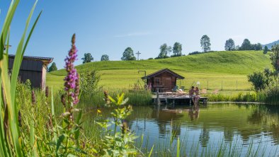 Badeteich Liegewiese