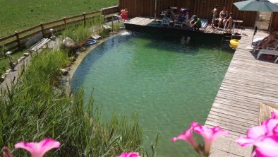 natural swimming pond, © Dagnhof