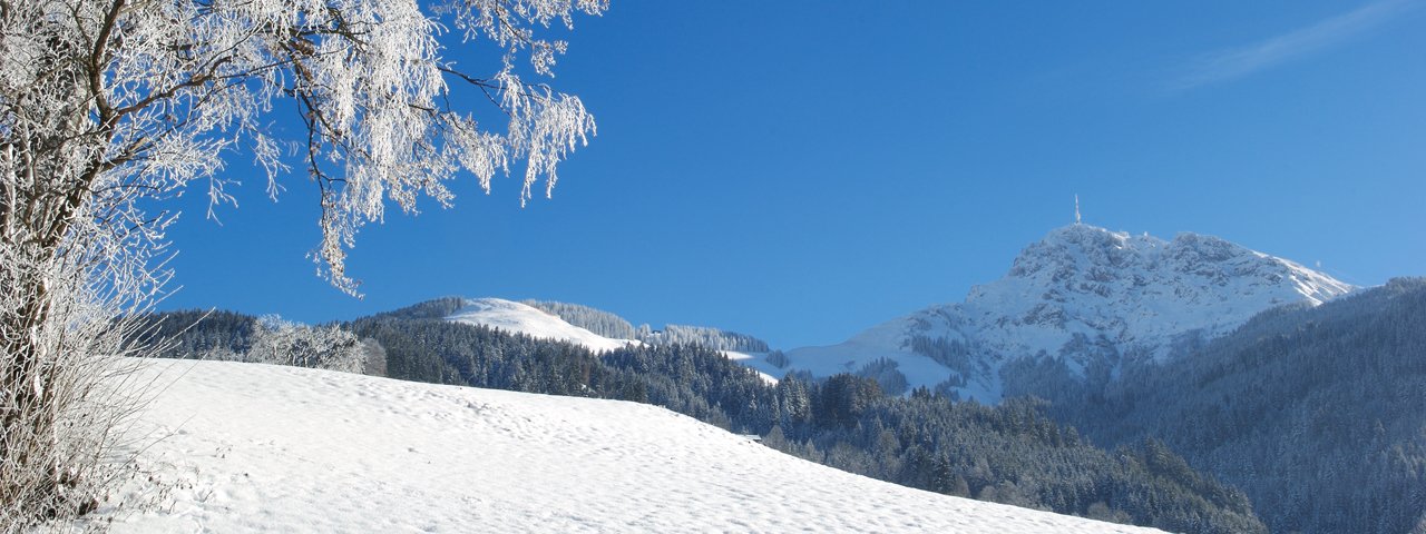 Gruttenweg winter hike, © Albin Niederstrasser