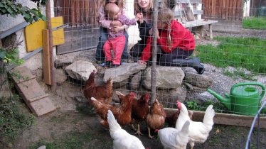 Tiere am Kinderbauernhof Tunelhof