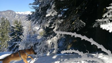 Spass im Schnee