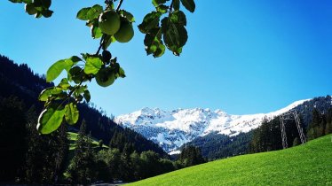 Lehenhof_Alpbach (3)