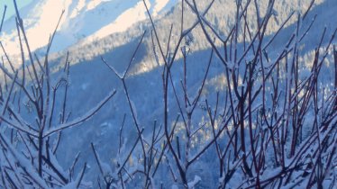 Gartenaussicht im Winter