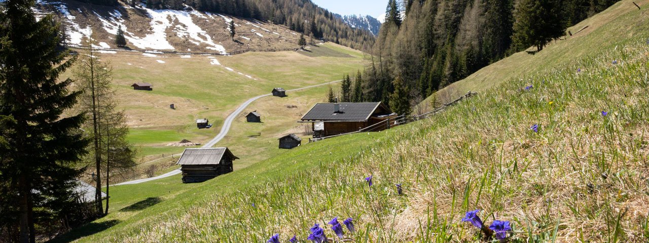 Spring in the Pfundser Tschey valley, © Tirol Werbung/Marion Webhofer