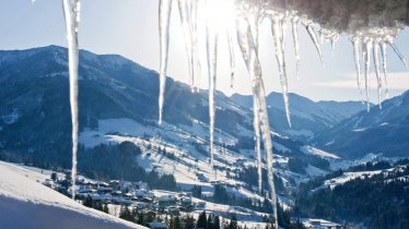 AlpbachtalTourismus_733226