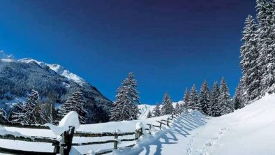 Winterwanderungen, in der herrlichen Bergwelt.