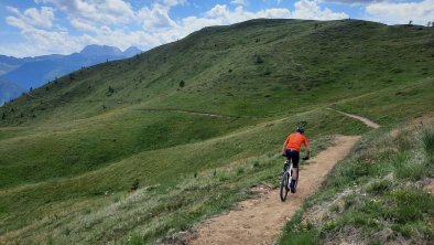 Mountainbiken am Bergwiesentrail