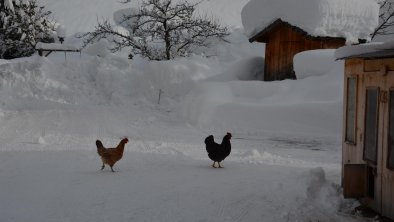 alle sind Willkommen