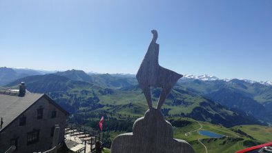 Kitz - Kitzbüheler Horn, © ME