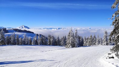 Blick zur hohen Salve nach Söll, © Katja Mayer