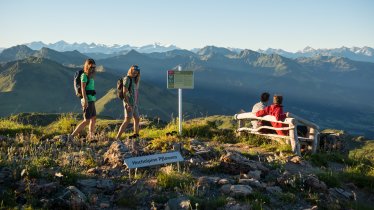 The Alpine Flower Garden on the Kitzbühler Horn mountain, © KitzSki / Werlberger