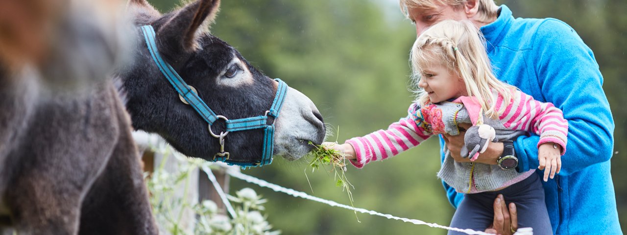 Petting Zoo at Sunny Mountain Adventure Park at Kappl, © TVB Paznaun-Ischgl