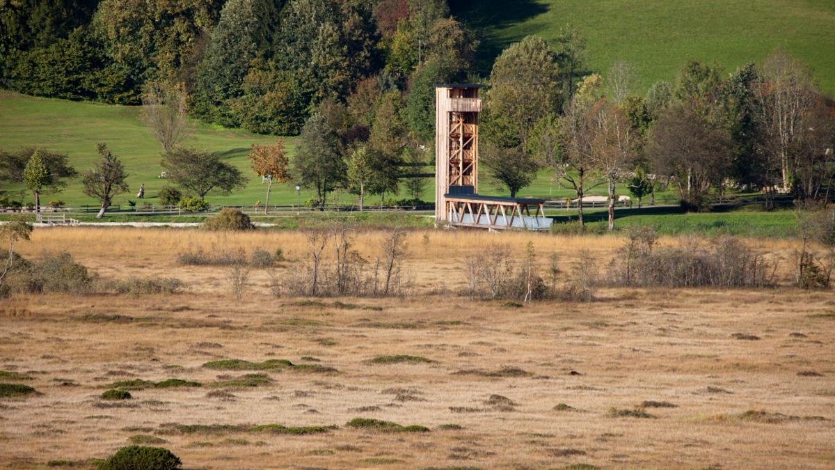 With a surface area of 65 hectares, the Schwemm is the largest area of moorland anywhere in North Tirol. Family-friendly guided hikes around the moor are offered once a week., © Kaiserwinkl/Bernhard Bergmann