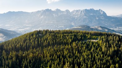 Rauher Kopf_Sommer_Kitzbüheler Alpen-Brixental_Mat