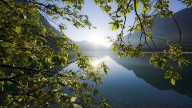 Plansee_Morgenstimmung mit Blaettern