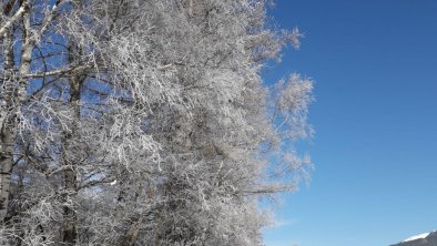 Winter in Tirol