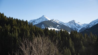 Natural_ Deluxe_Apartment_Alpbach_Ausblick