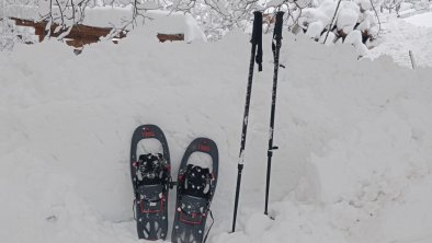 Rauthhof-Pitztal _ Winterwandern