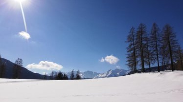 Langlaufen_Feld_Sonne, © Bedl