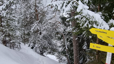 Snowshoe hike Bergblick-Vadiesen