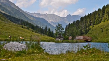 Hiking terrain near Praxmar/Lüsens, © Innsbruck Tourismus/Helga Andreatta