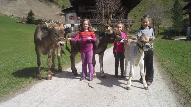 Leonie, Julia and Isabella with our calvs