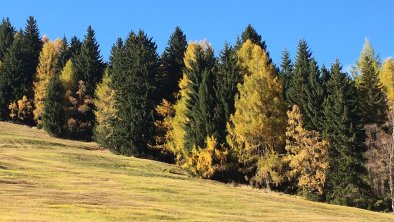 Herbstimpression