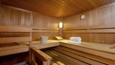 Wellness Sauna