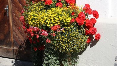 Sonne,Blumen,Genuss-Alberhof