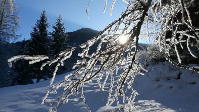 Winterwunderland in Walchsee