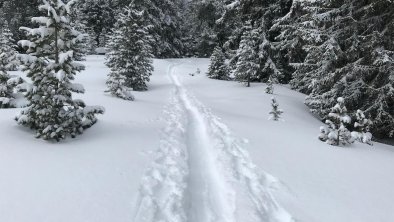 Winterlandschaft in unmittelbarer Nähe, © Mair Tanja