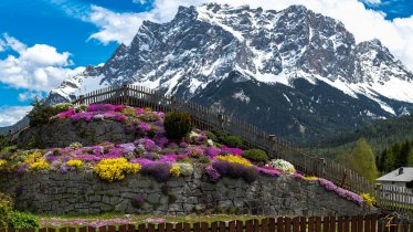 Steingarten mit Blick auf die Zugspitze